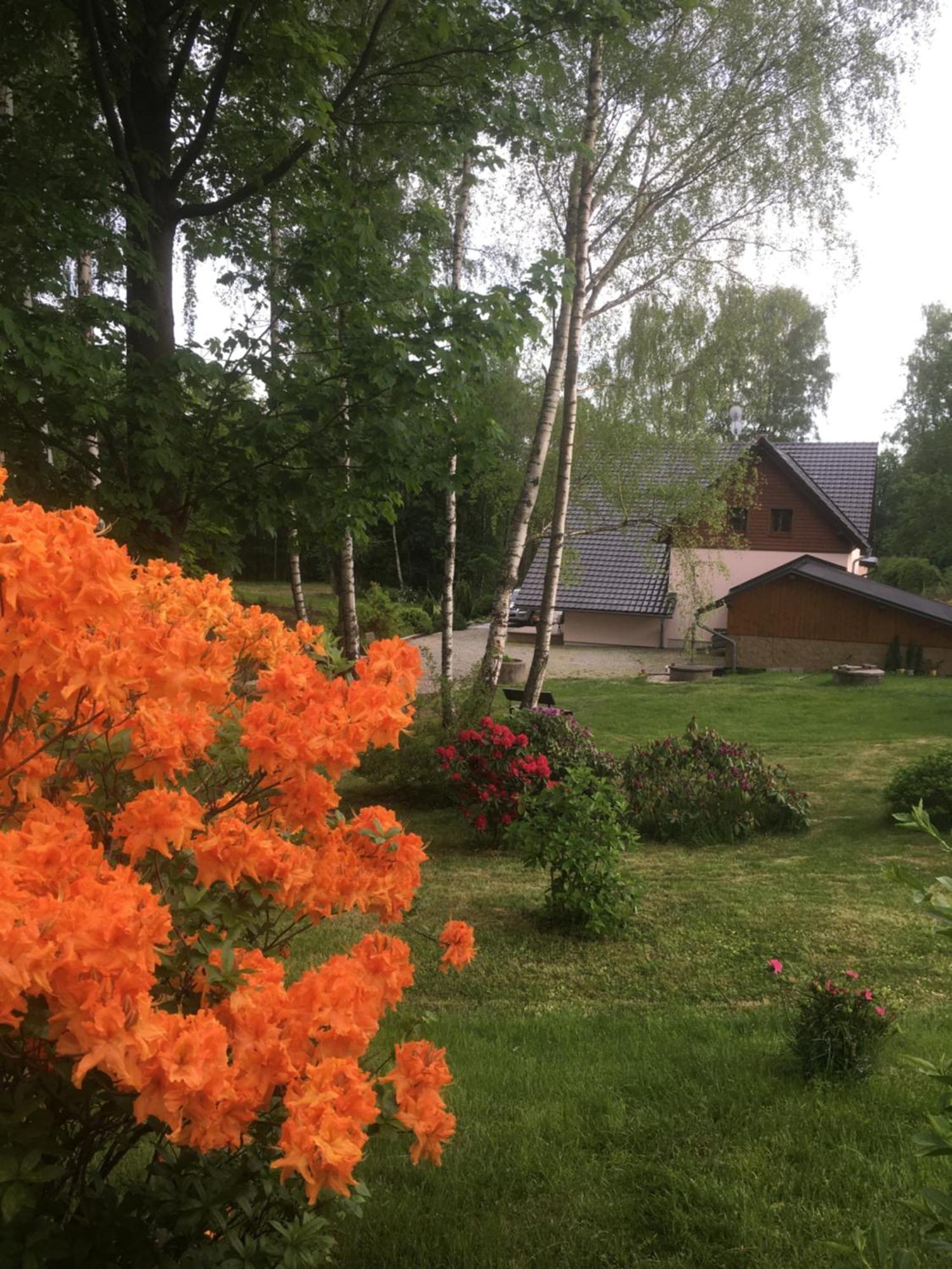 Zlate Pisky Prázdninový dům